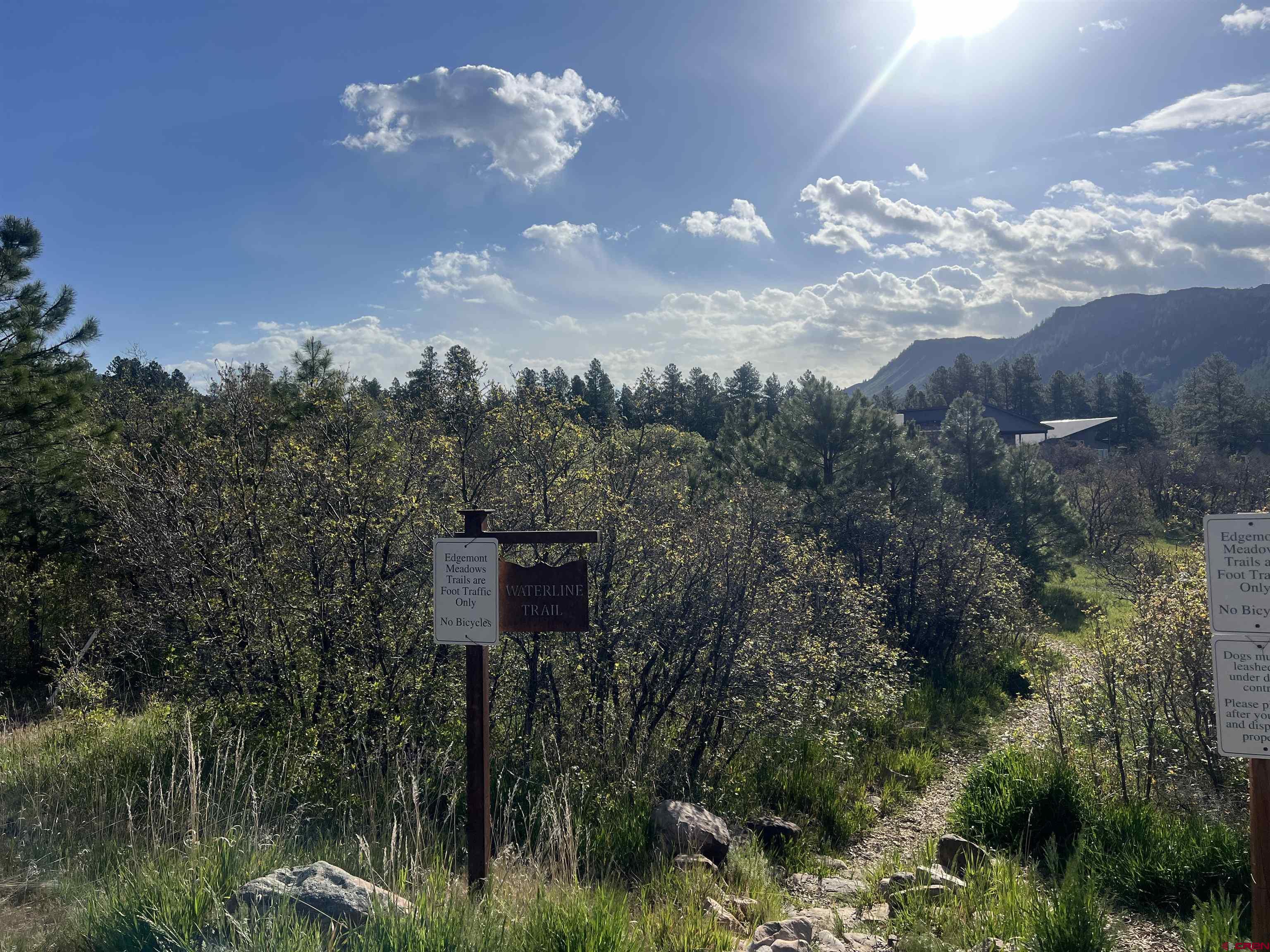 29 Edgemont Meadows Road Durango, CO 81301 - Photo 1 of 6