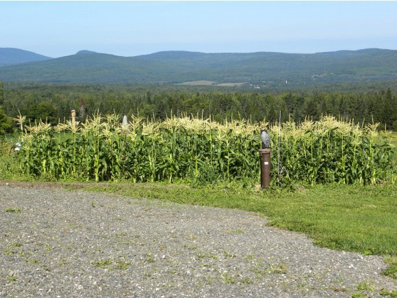 400 Gaudette Road Norton, VT 05907 - Photo 23 of 28