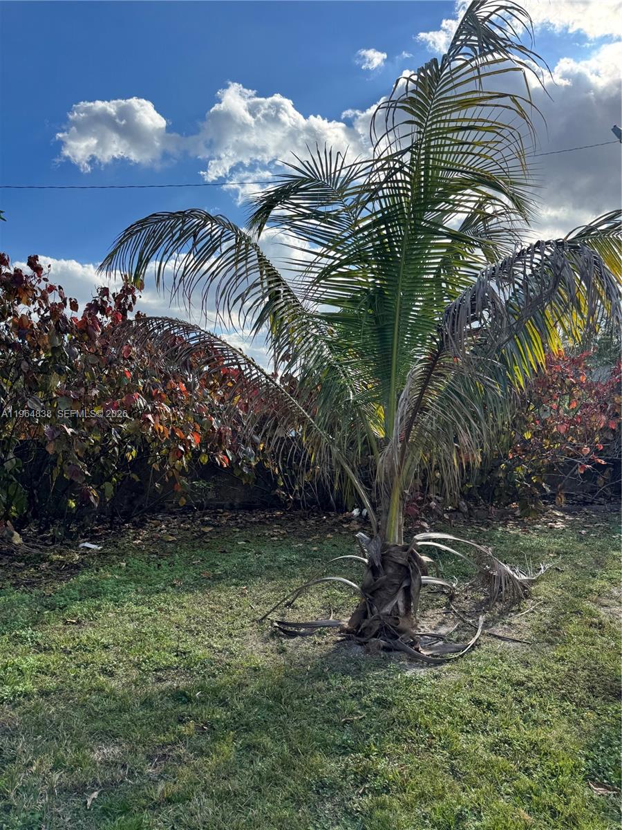 36 Northwest 151st Street Miami, FL 33169 - Photo 3 of 5