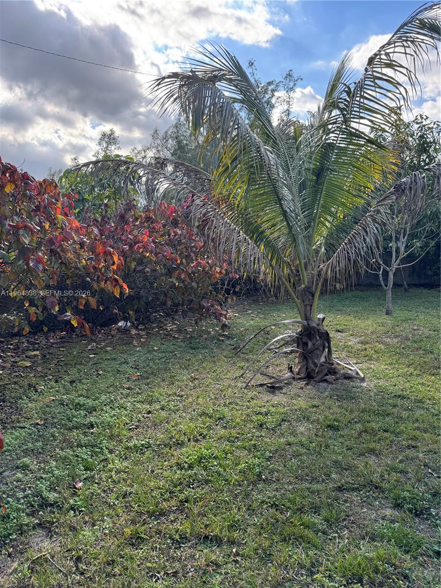 36 Northwest 151st Street Miami, FL 33169 - Photo 5 of 5