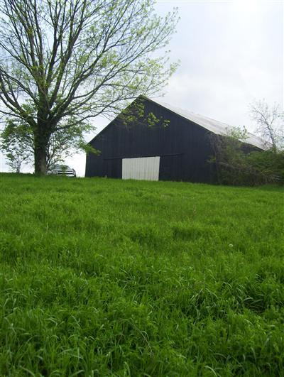 0 Kennedy Ridge Road Falmouth, KY 41040 - Photo 10 of 14 Gallery Image 10