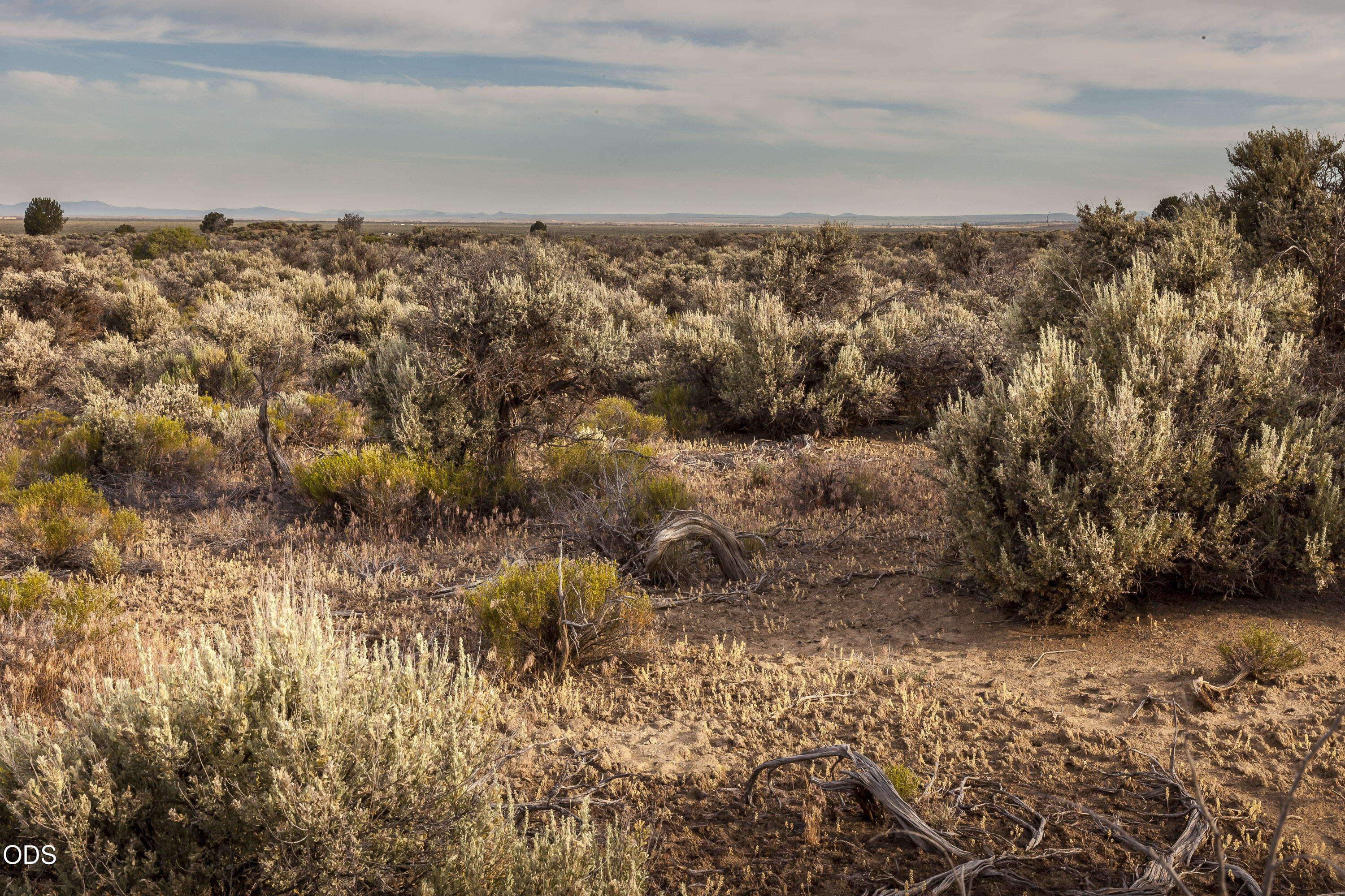 0 Buffalo Wells Road Christmas Valley, OR 97641 - Photo 14 of 19