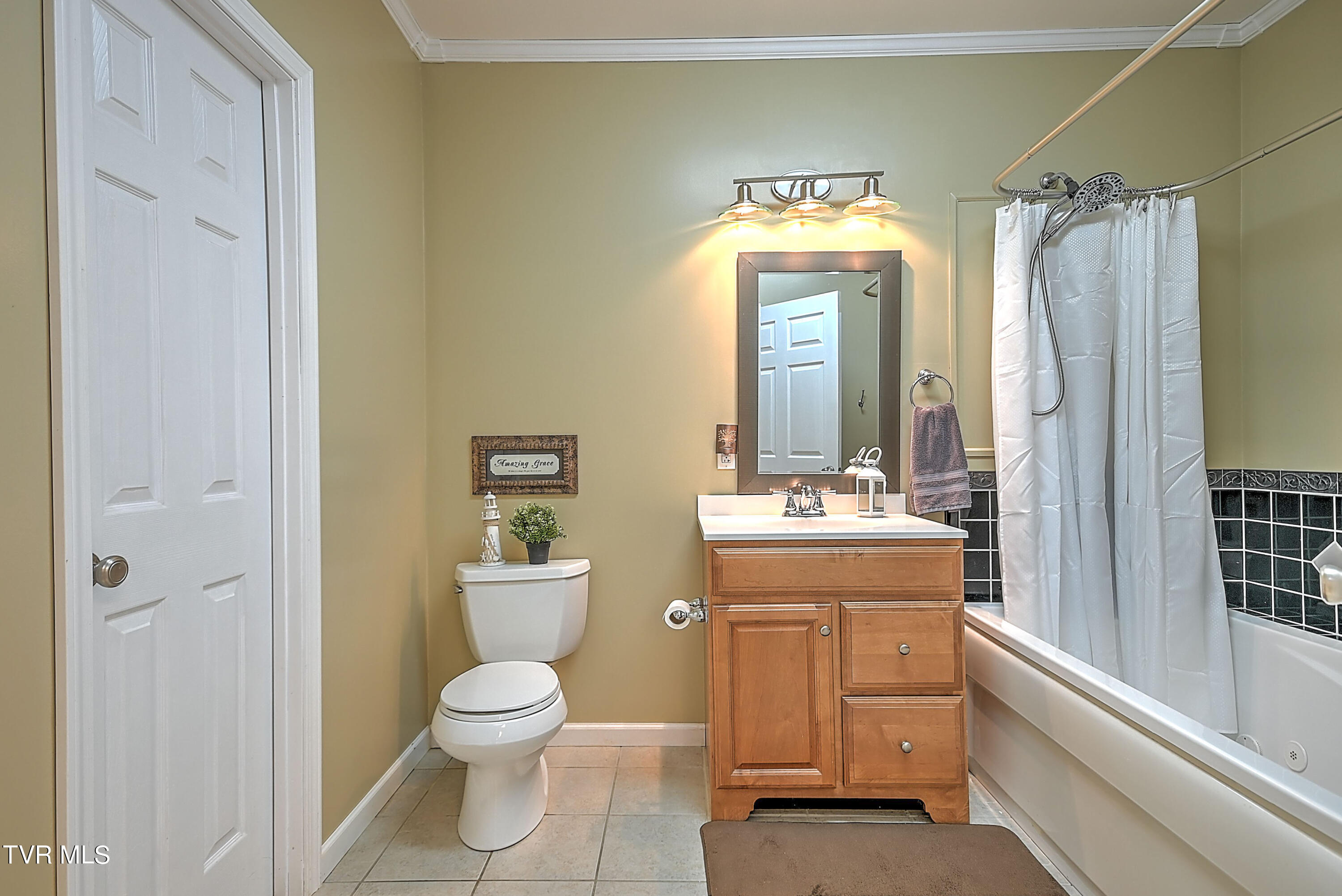 346 Walkers Bend Road Gray, TN 37615 - Photo 59 of 75 346 Walkers Bend WS-25