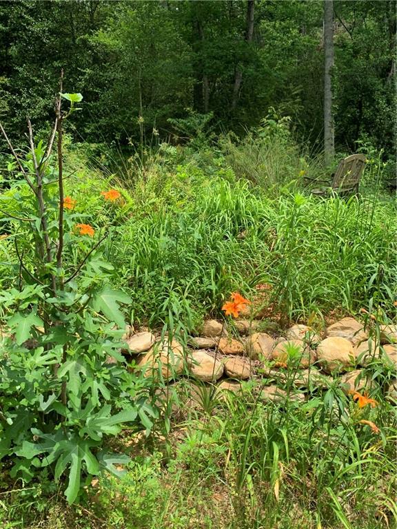 420 Vic Randall Road Lawndale, NC 28090 - Photo 8 of 45 Gallery Image 8