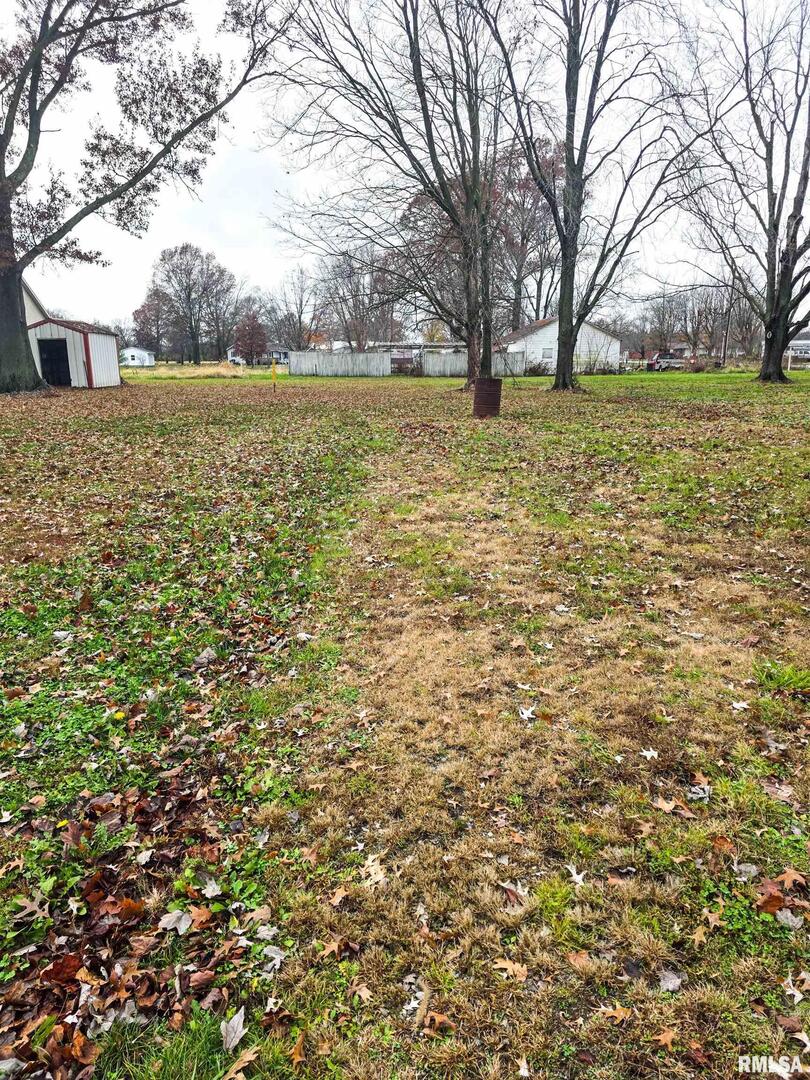 101 Watkins Street Cisne, IL 62823 - Photo 4 of 8 a backyard of a house with large trees