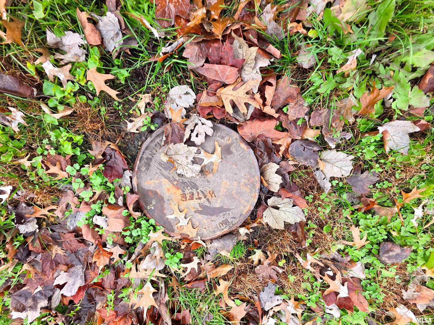 101 Watkins Street Cisne, IL 62823 - Photo 5 of 8 a view of a tree with a plant