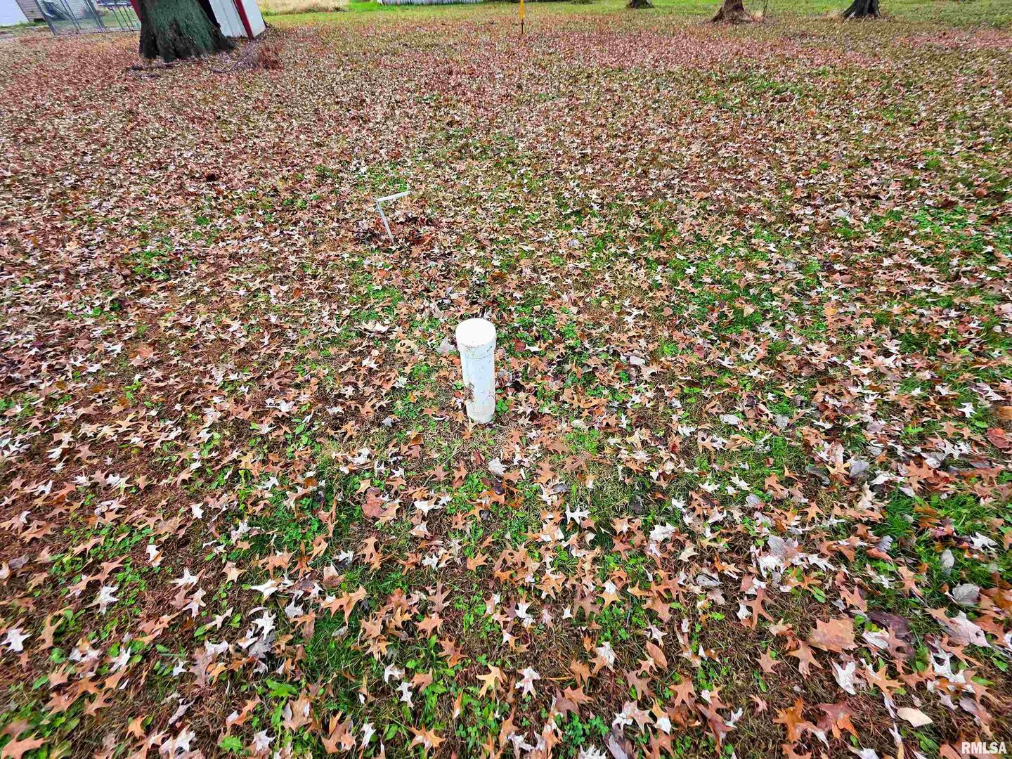 101 Watkins Street Cisne, IL 62823 - Photo 6 of 8