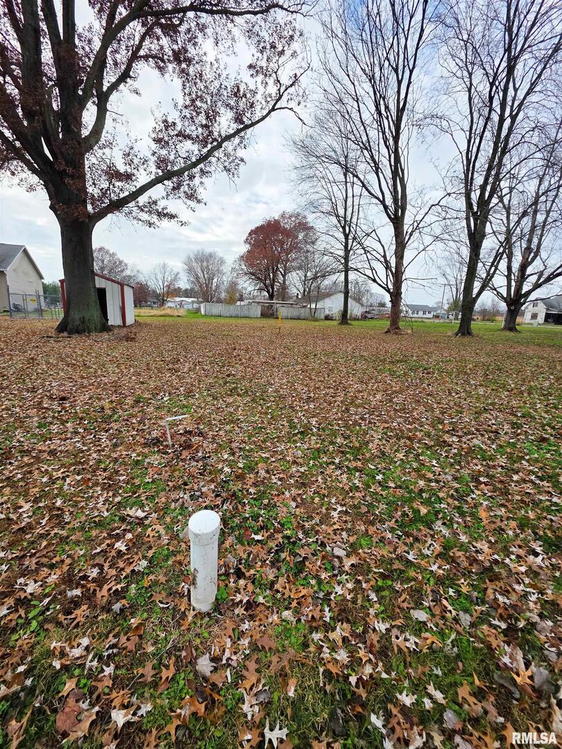 101 Watkins Street Cisne, IL 62823 - Photo 7 of 8 a backyard of a house with lots of green space