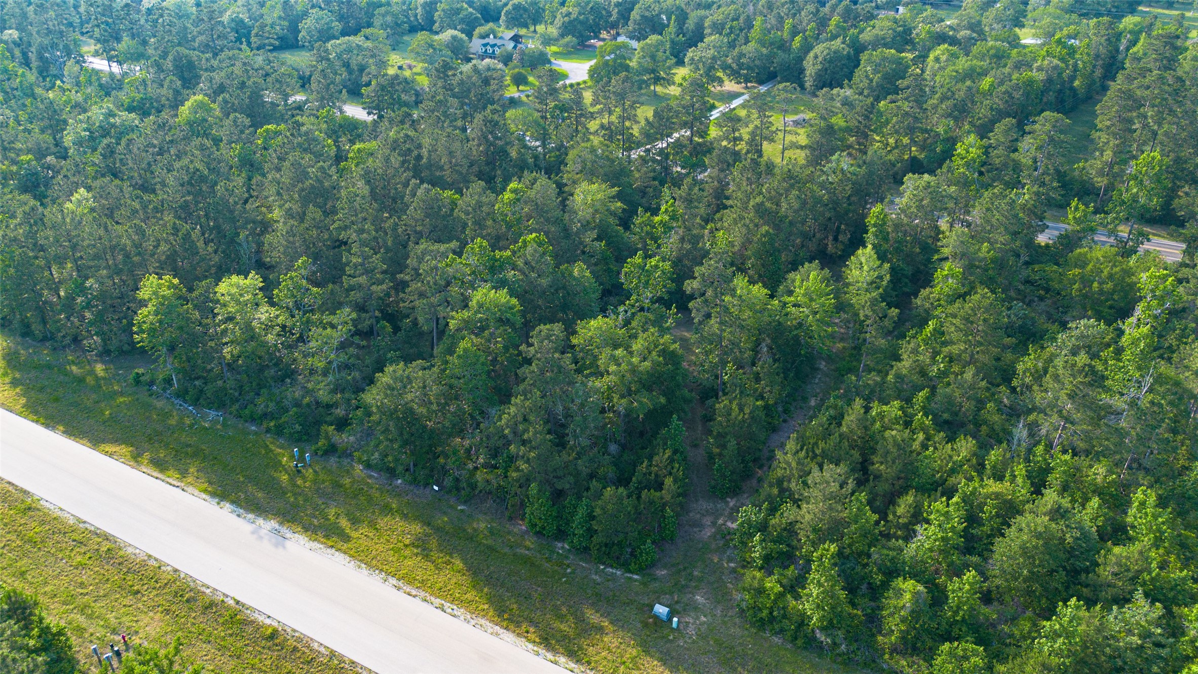 333 Iron Horse Road Willis, TX 77378 - Photo 4 of 15 a view of a forest from a balcony
