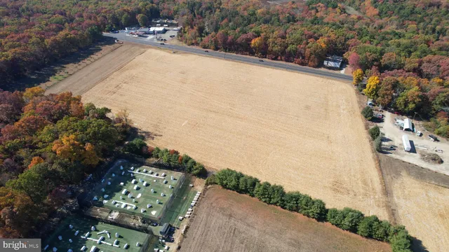 a view of a yard with trees
