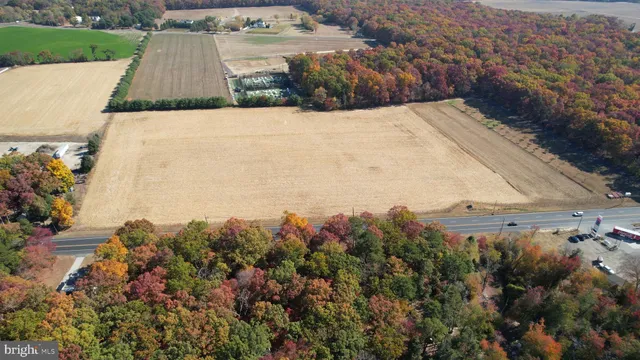 a view of a yard with an outdoor space
