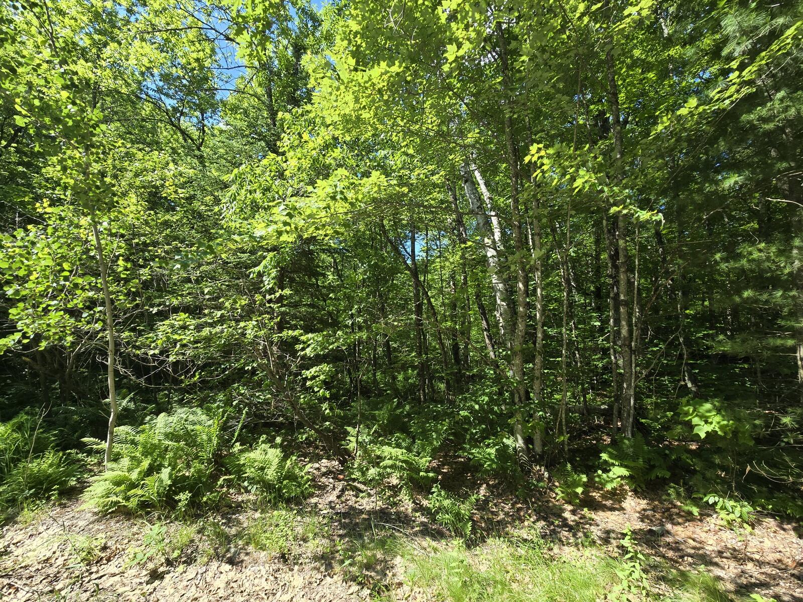 Lot 67 Temple Road Temple, ME 04984 - Photo 16 of 23 20260624_093917