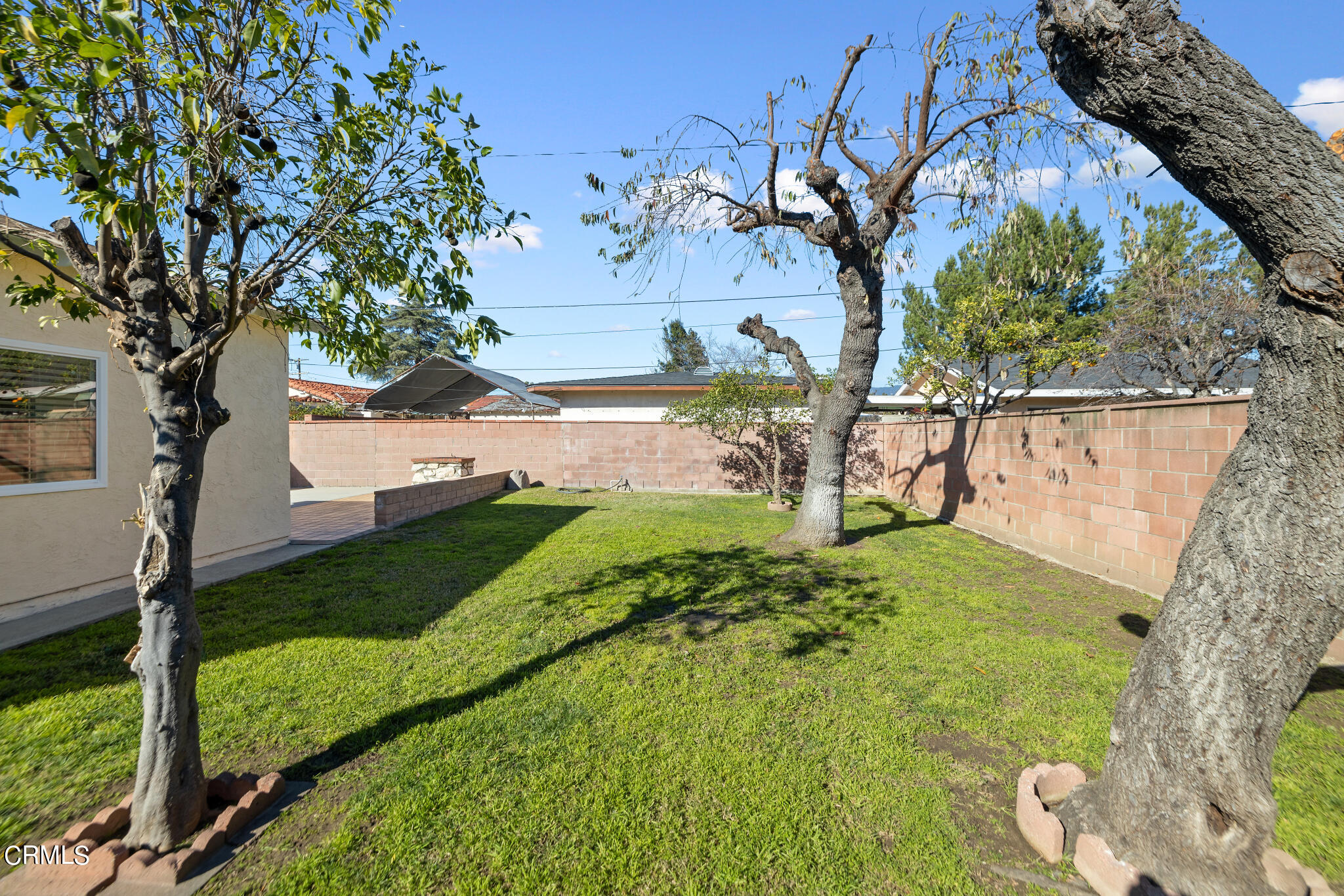 4516 Earle Avenue Rosemead, CA 91770 - Photo 23 of 23 a view of a yard with plants and large trees