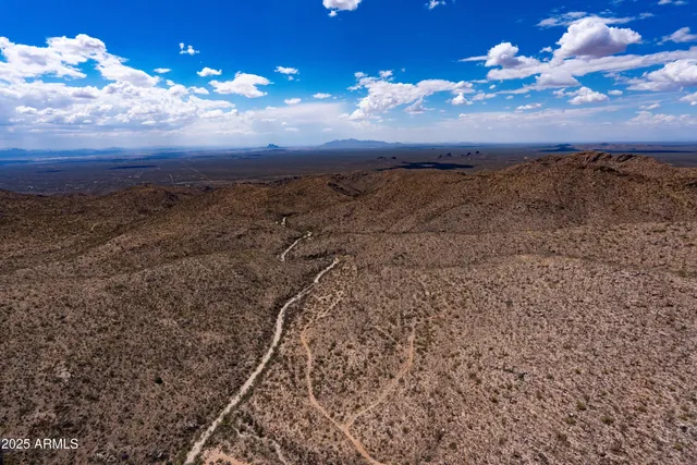 a view of a yard with a large tree