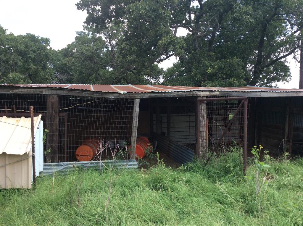 8762 Private Road 4641 Baird, TX 79504 - Photo 29 of 36 a view of a backyard with plants and a large tree