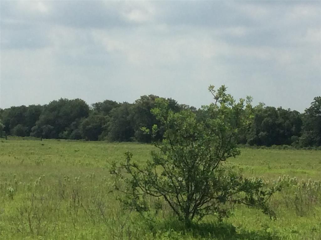 8762 Private Road 4641 Baird, TX 79504 - Photo 34 of 36 a view of a field of grass and trees