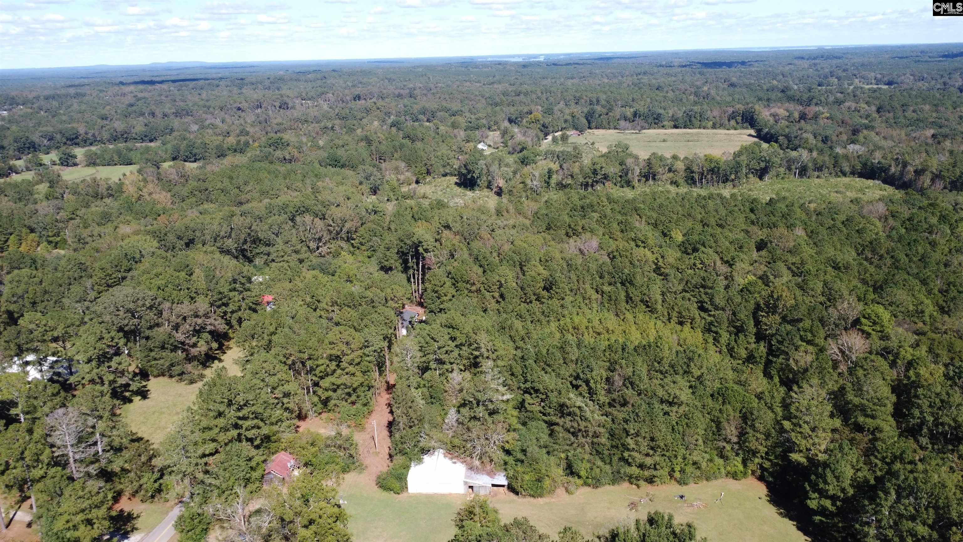 2045 State Rd S-32-235 Leesville, SC 29070 - Photo 49 of 50