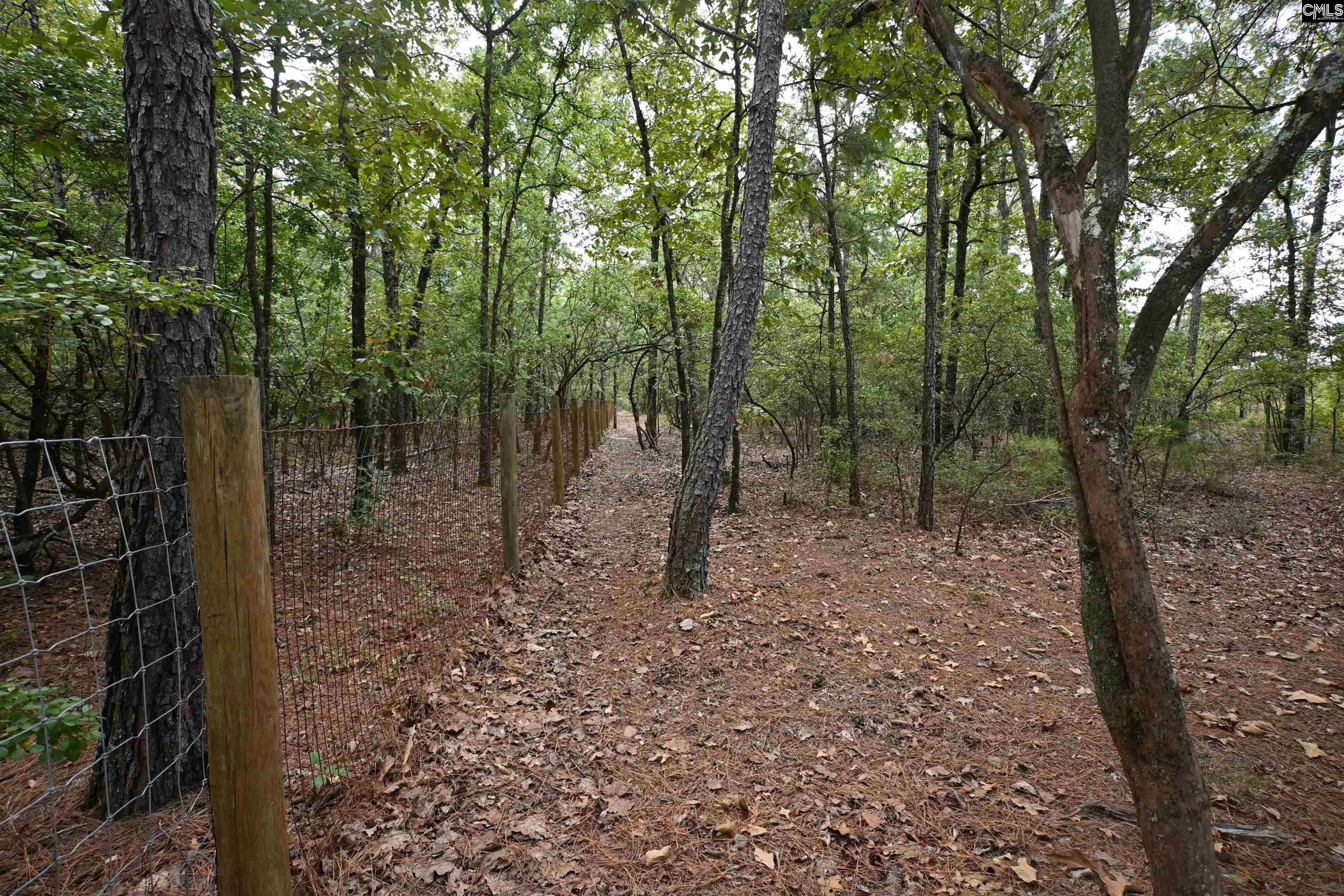 415 Finback Road Wagener, SC 29164 - Photo 50 of 72 Gallery Image 50