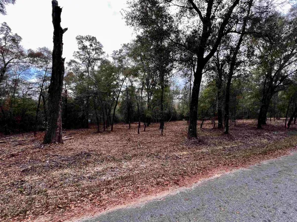 $37,500 | Xx Xx Mccall Bridge Rd Lake, Quincy, FL 32351