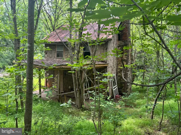 a view of a chairs and table in a backyard