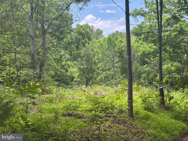 a view of outdoor space and garden