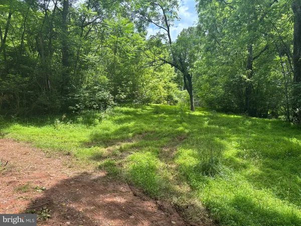 a view of a lush green space near a lake view