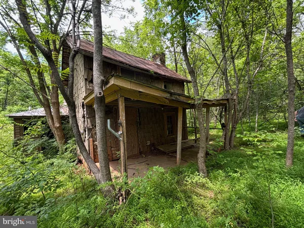 front view of a house with a tree