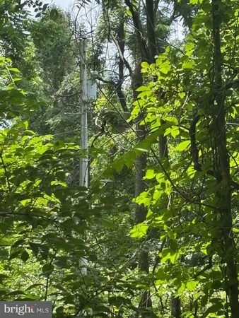 a view of a backyard of the house