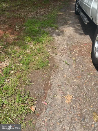 a view of yard with large trees