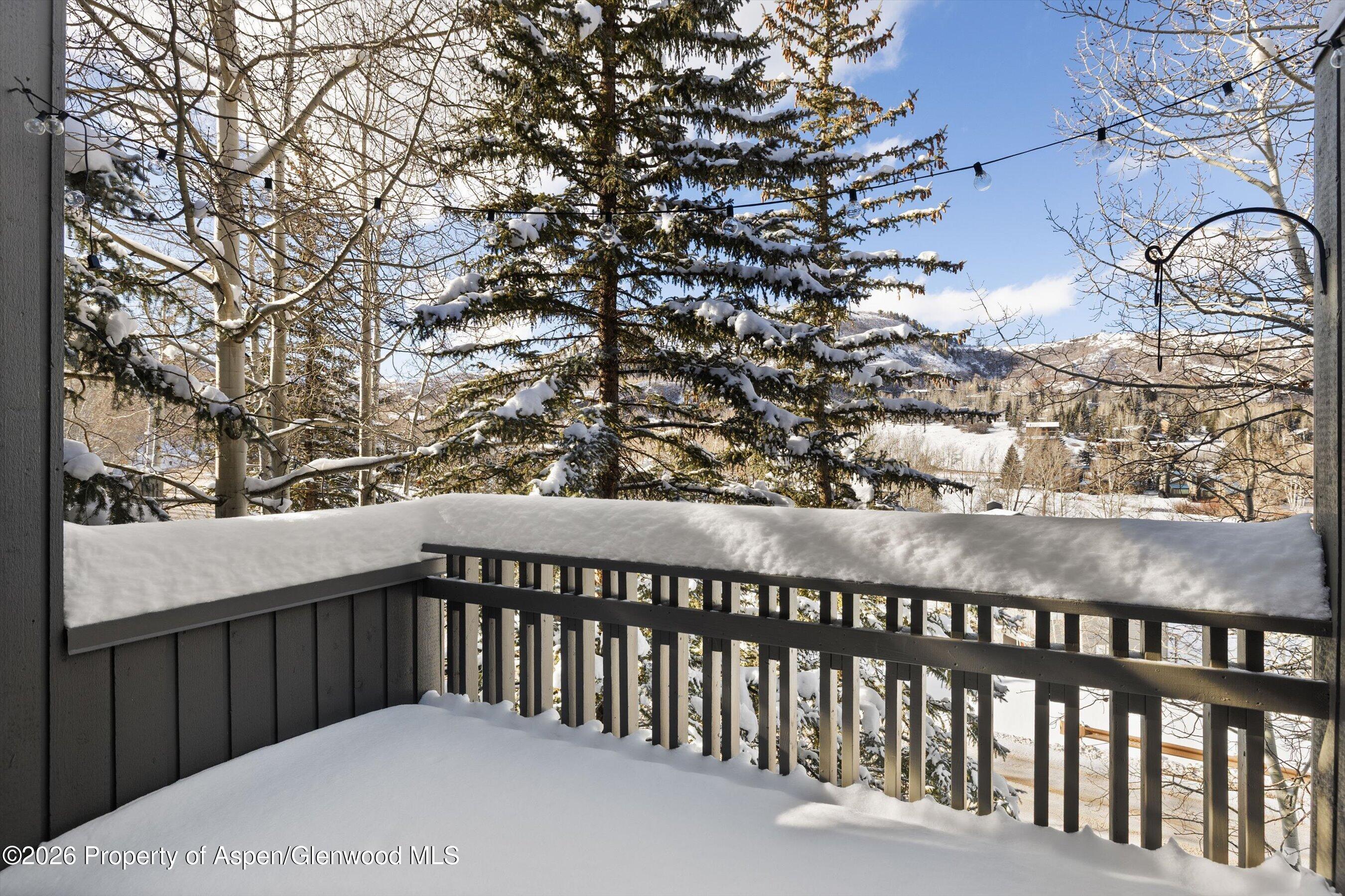 221 Meadow Ranch Road, Unit D4A Snowmass Village, CO 81615 - Photo 25 of 34 Terrace off Dining