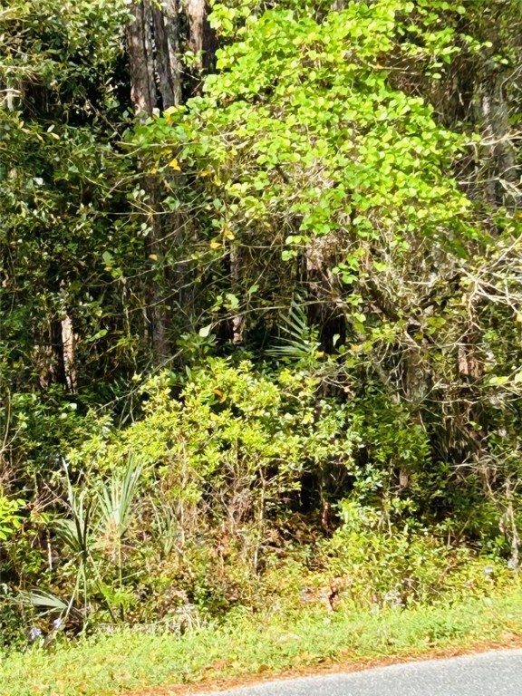 0 Schubert Road Fernandina Beach, FL 32034 - Photo 3 of 9 Gallery Image 3