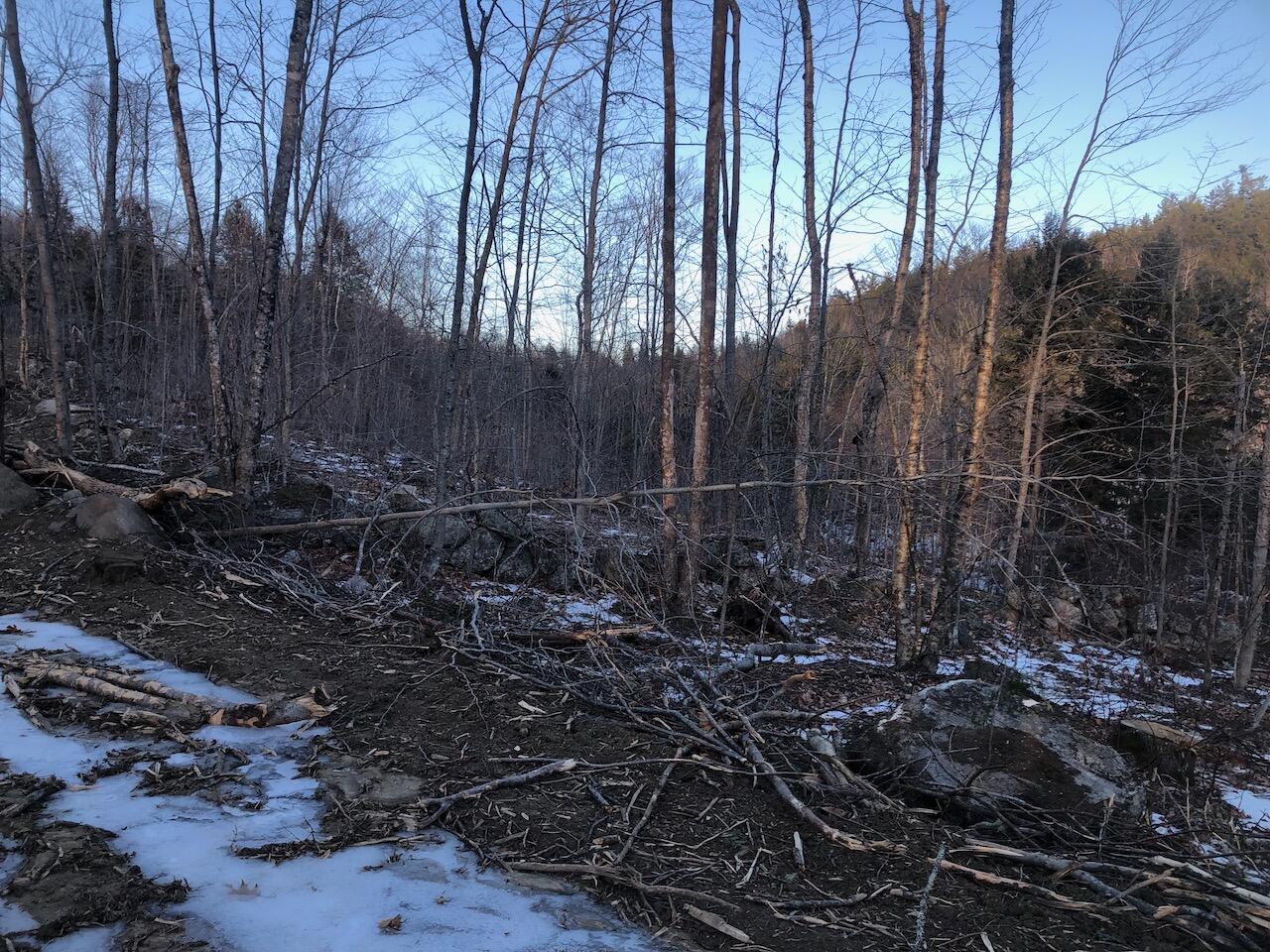L25 Canton Mountain Road Jay, ME 04239 - Photo 23 of 25 IMG_8017