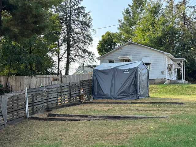 a view of backyard with wooden fence and large trees
