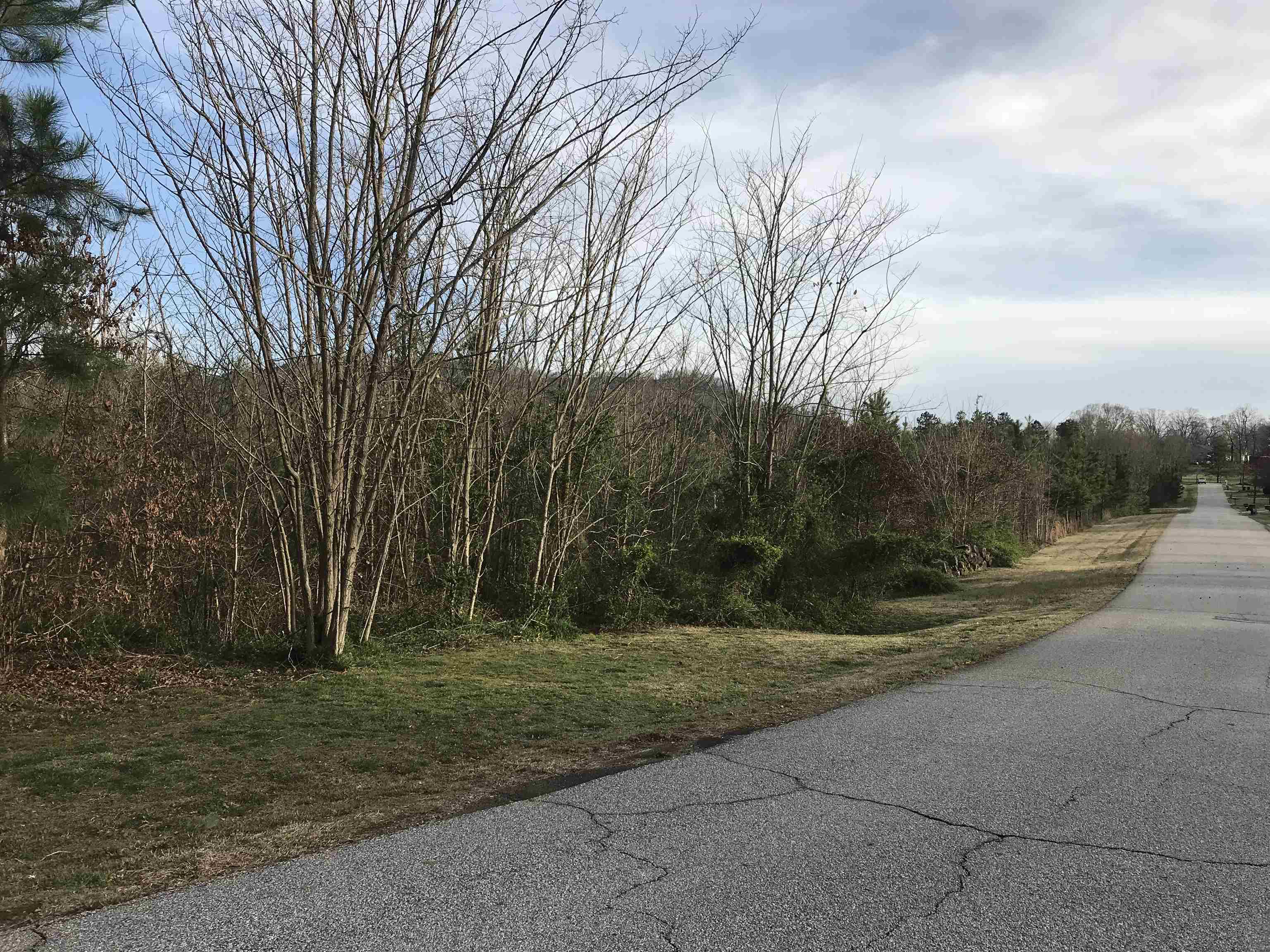Little Texas Rd Echo Lane Travelers Rest, SC 29690 - Photo 2 of 5