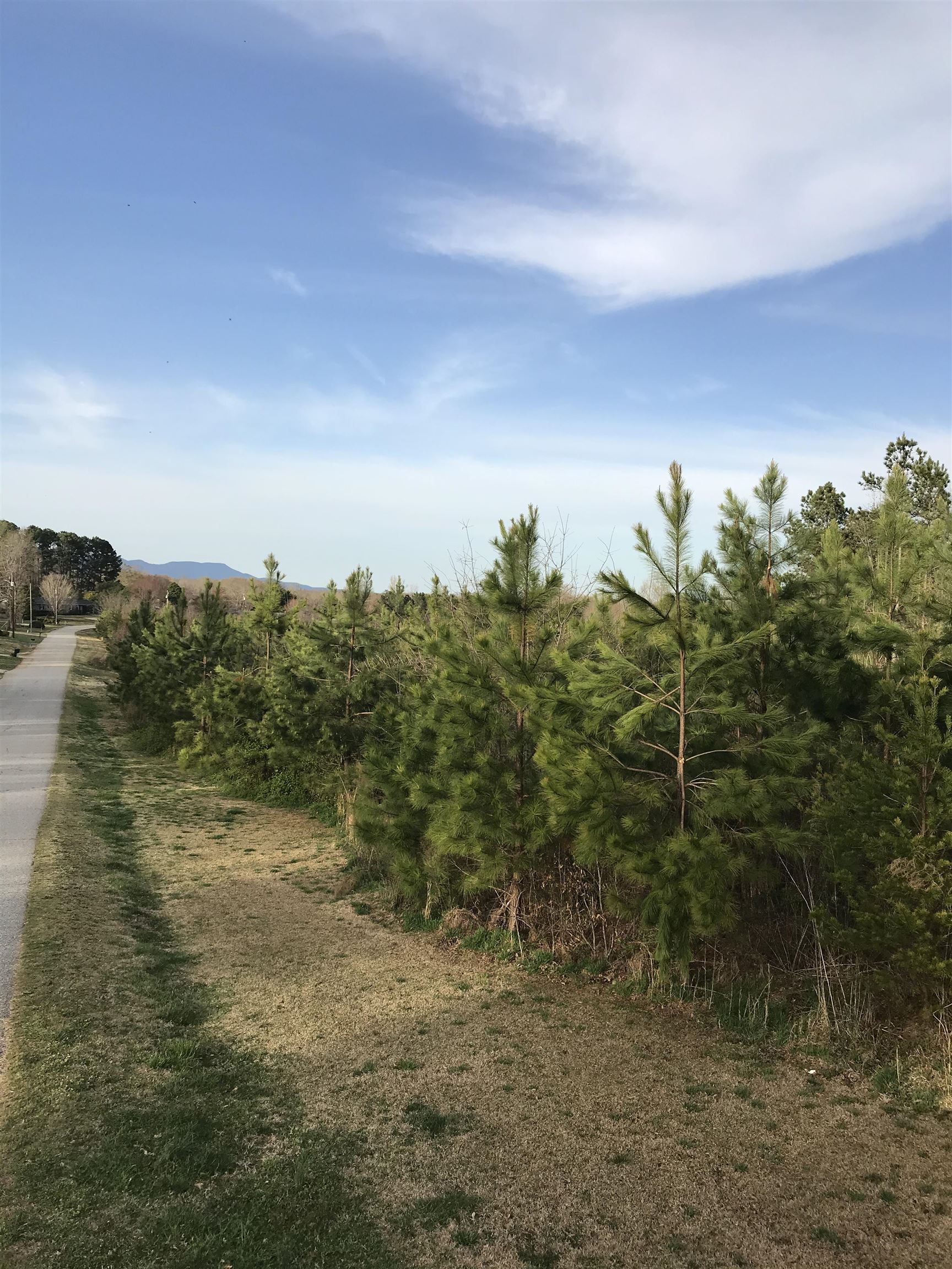 Little Texas Rd Echo Lane Travelers Rest, SC 29690 - Photo 3 of 5