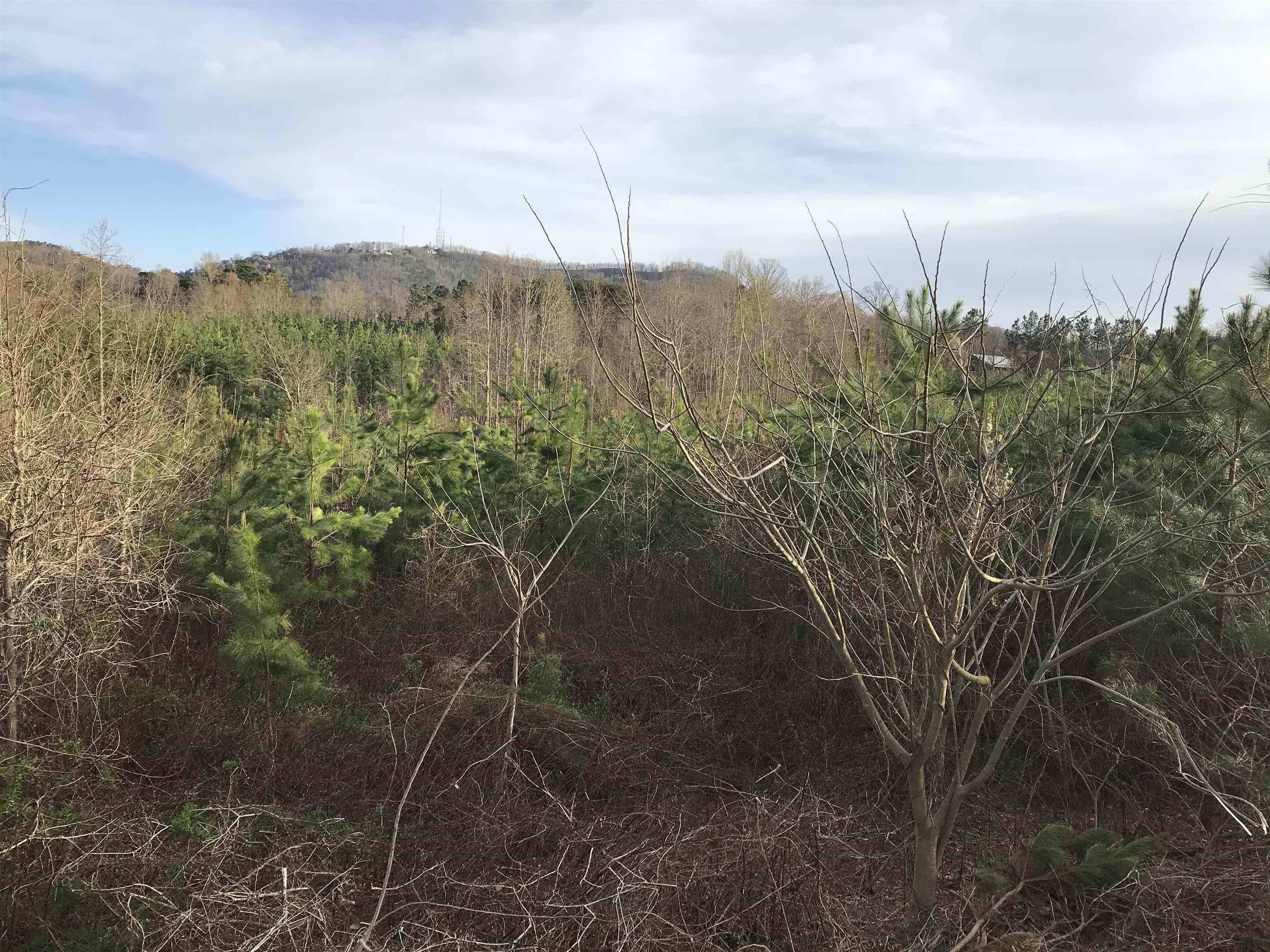 Little Texas Rd Echo Lane Travelers Rest, SC 29690 - Photo 4 of 5