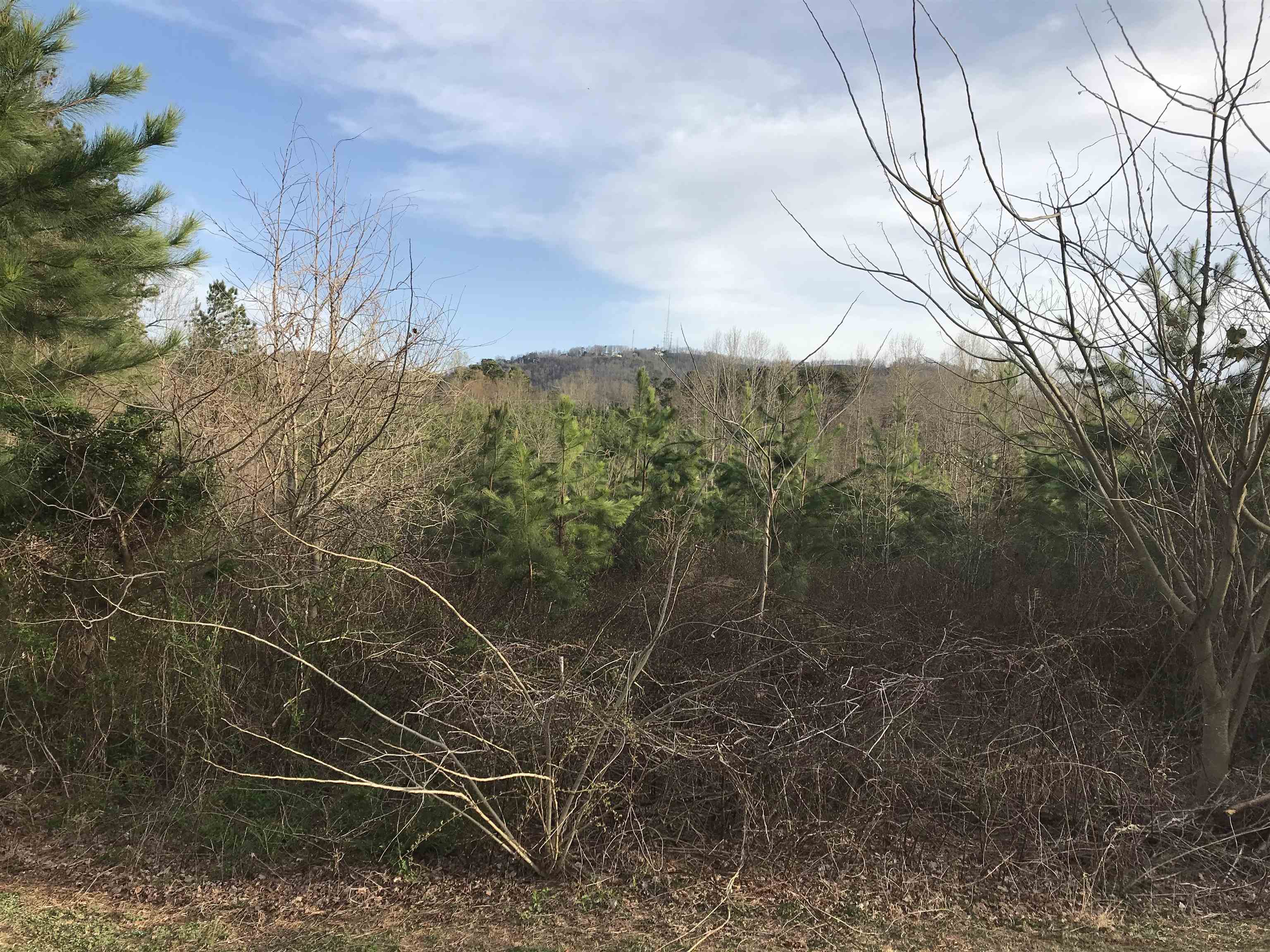 Little Texas Rd Echo Lane Travelers Rest, SC 29690 - Photo 5 of 5