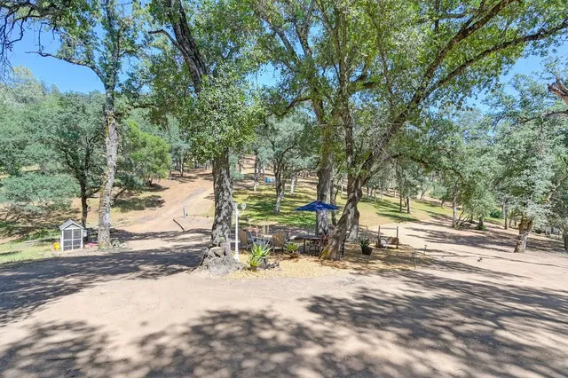 a view of a lush green forest with trees and some houses