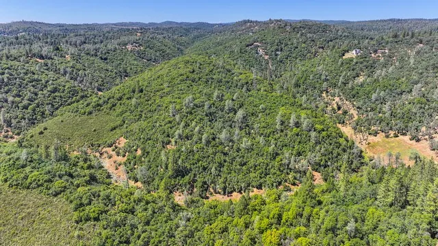 a view of a house in a forest