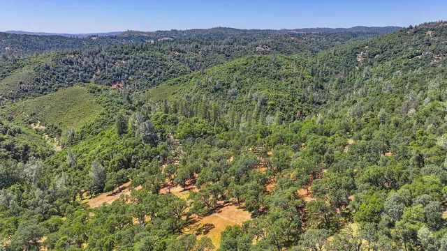 a view of a city with lush green forest