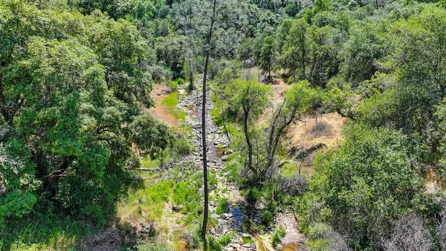 a view of a yard with large trees