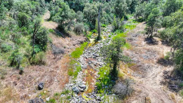 a view of outdoor space with deck and trees