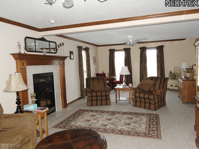 5380 Seville Road Seville, OH 44273 - Photo 4 of 17 This large living area welcomes you and contains a gas fireplace with insert.