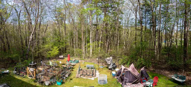a view of outdoor space with lots of trees