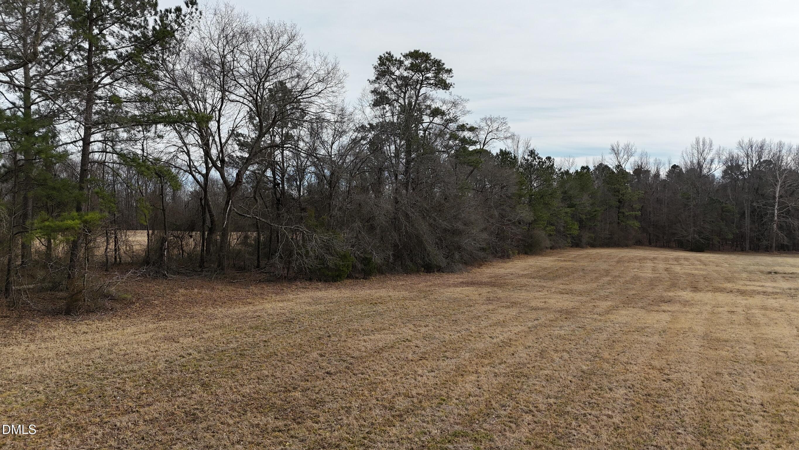 0 Pleasants Road Wendell, NC 27591 - Photo 12 of 32 a view of basketball court