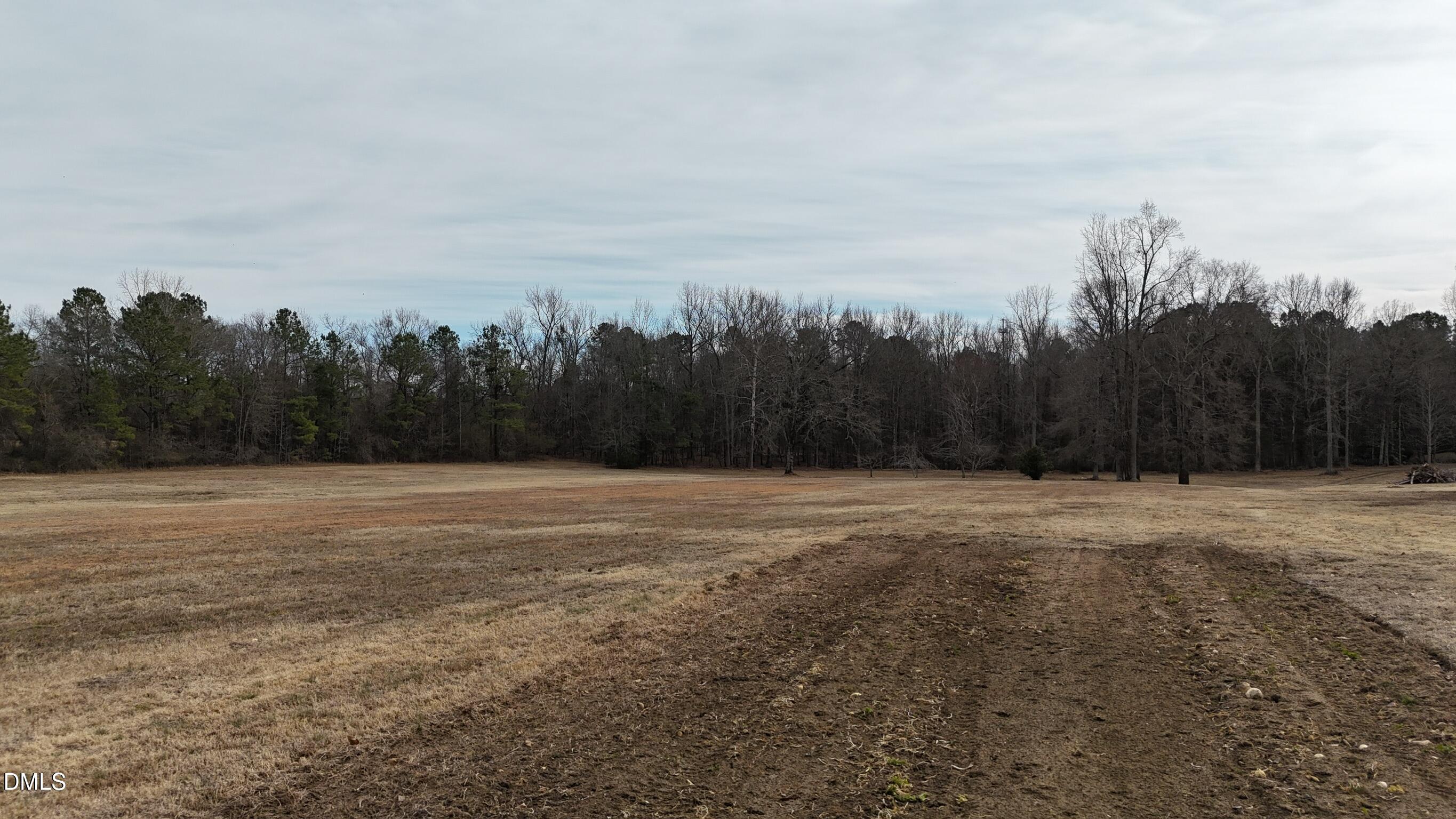 0 Pleasants Road Wendell, NC 27591 - Photo 13 of 32 a view of a field with trees in background