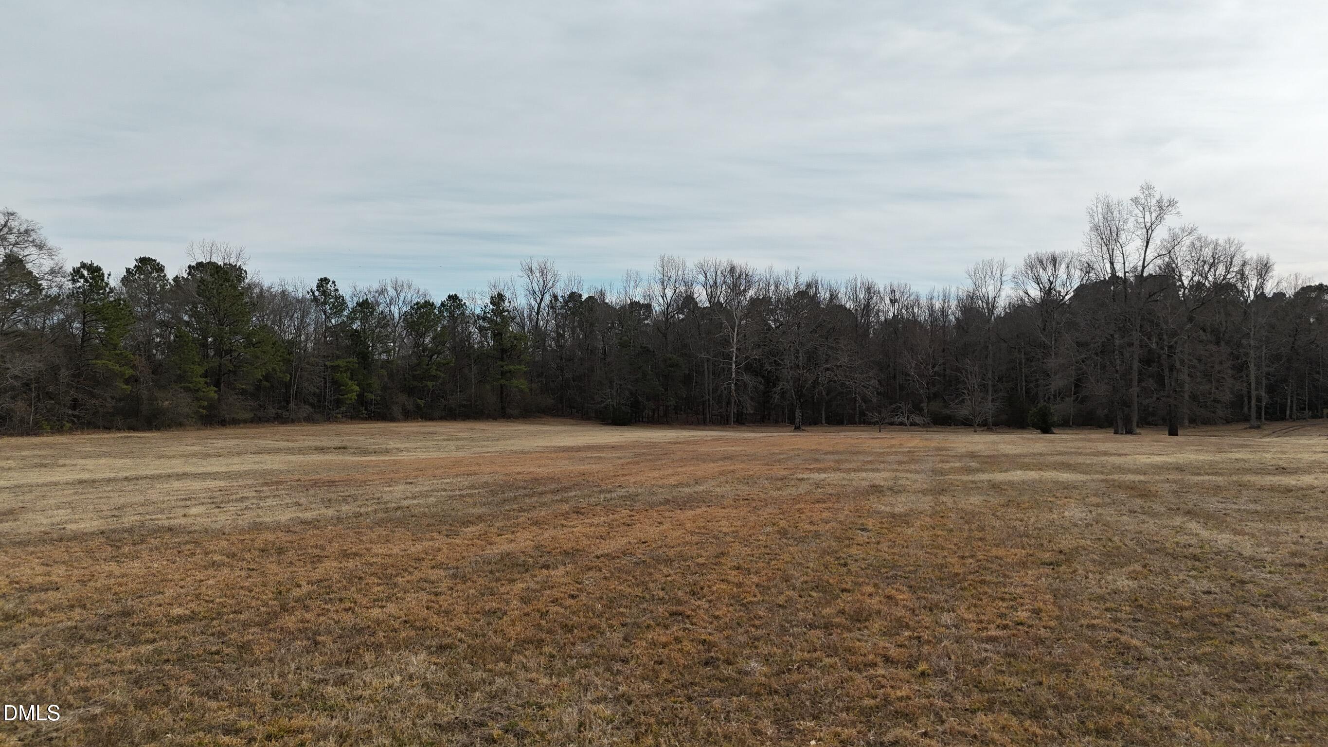0 Pleasants Road Wendell, NC 27591 - Photo 14 of 32 a view of a field with trees in the background