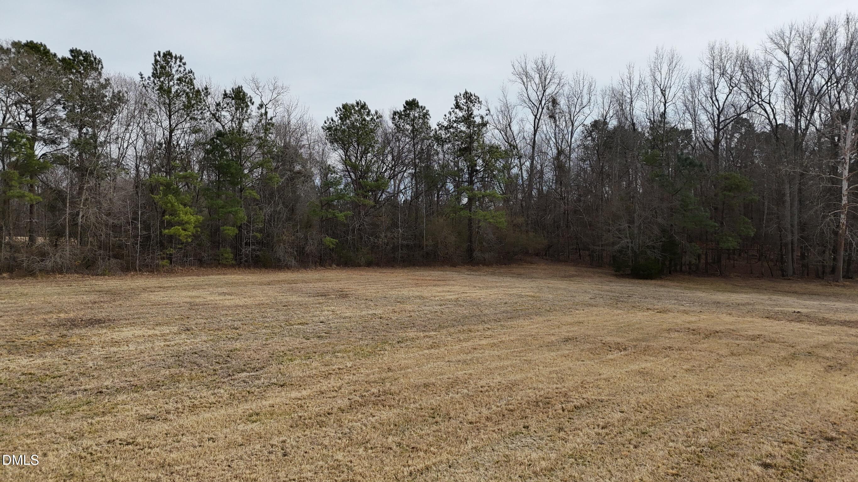 0 Pleasants Road Wendell, NC 27591 - Photo 15 of 32 a view of basketball court