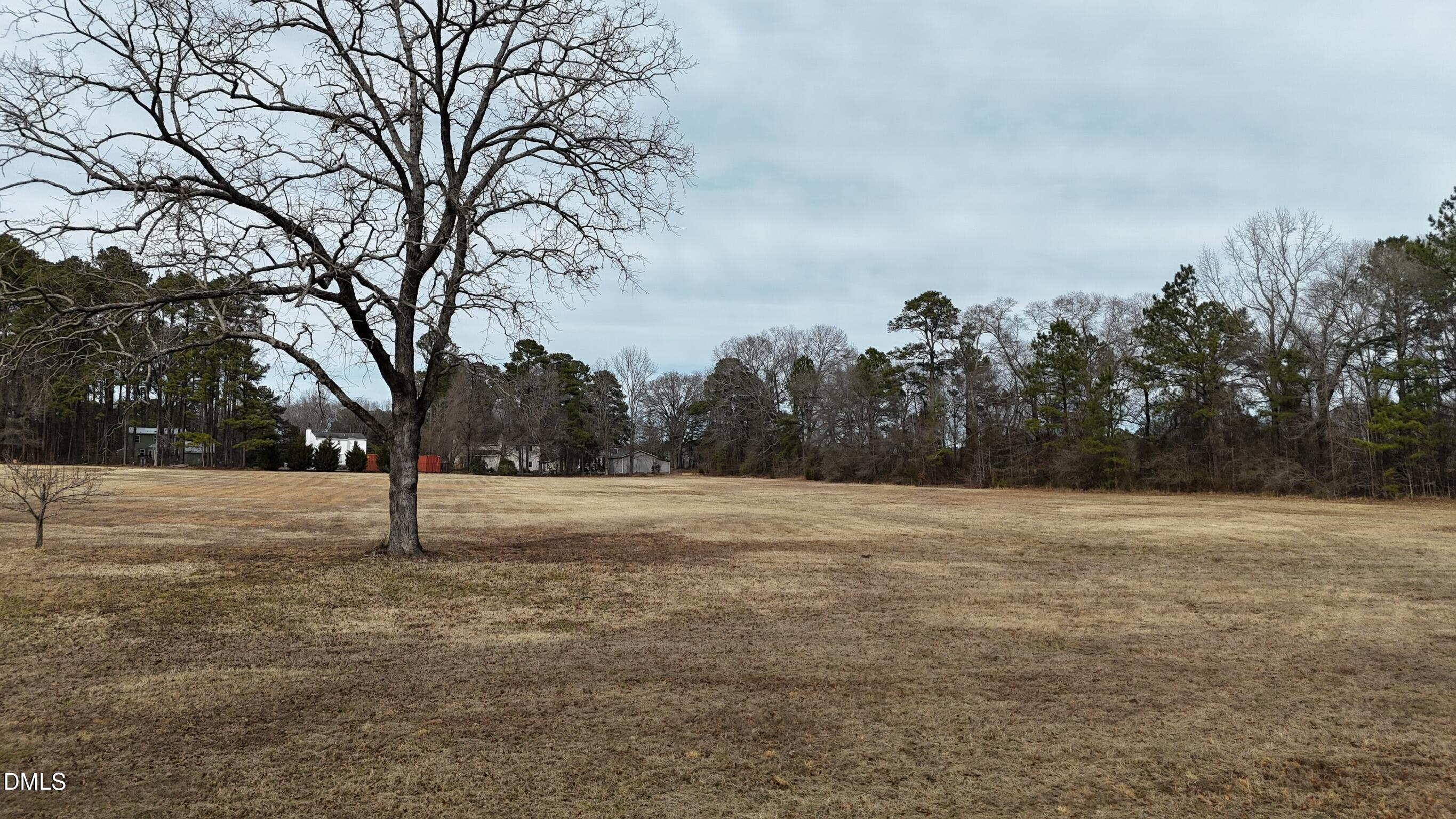 0 Pleasants Road Wendell, NC 27591 - Photo 18 of 32 a view of dirt yard with trees