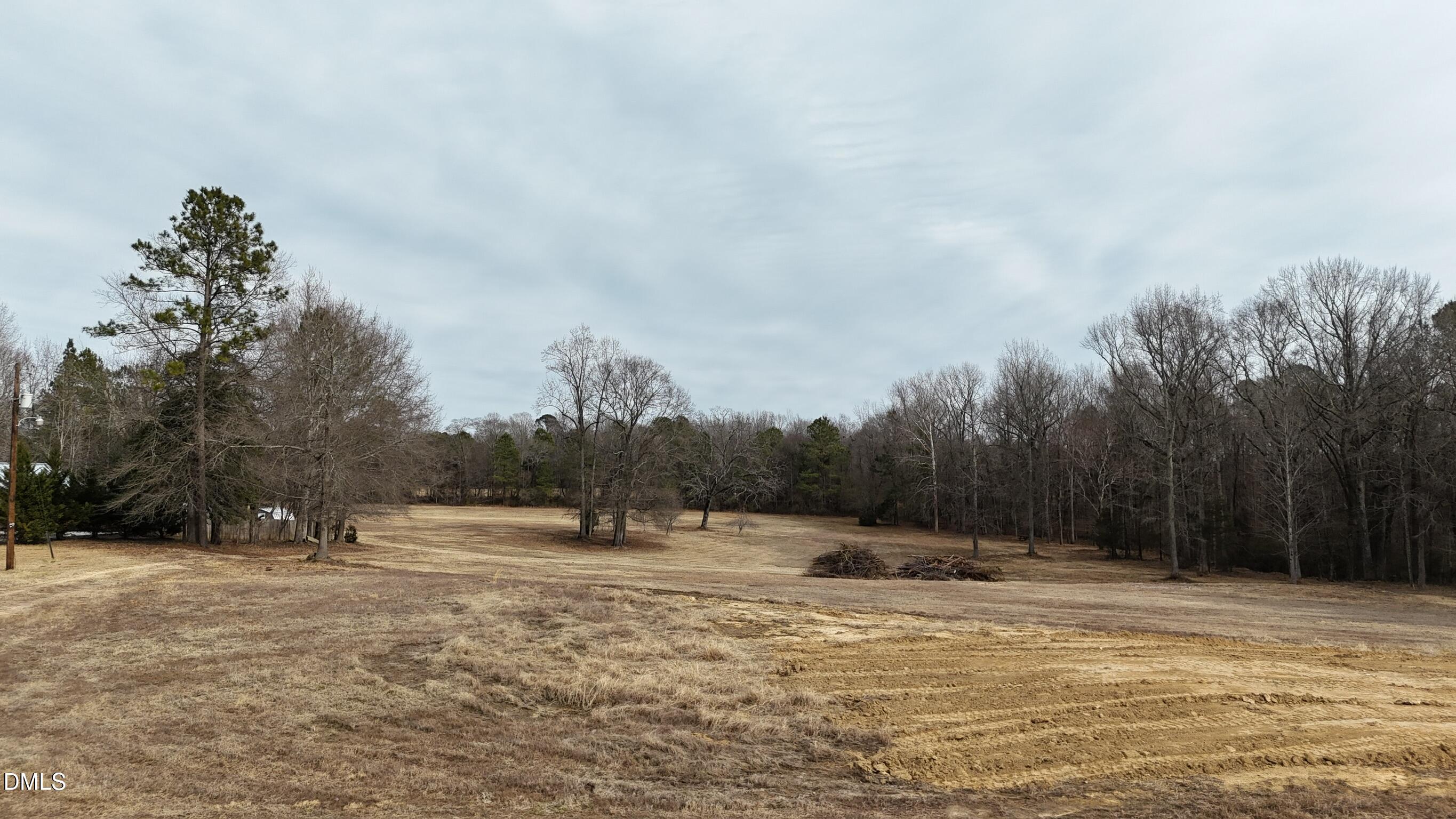 0 Pleasants Road Wendell, NC 27591 - Photo 22 of 32 a view of a with large trees